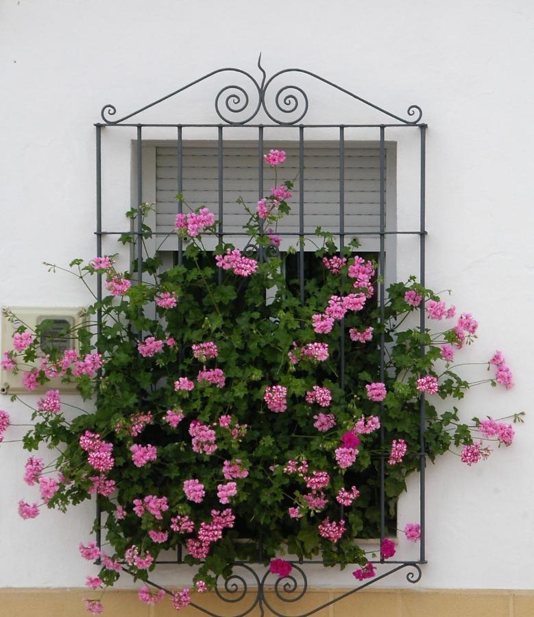הוילה Almodóvar del Río La Casa De Angela מראה חיצוני תמונה